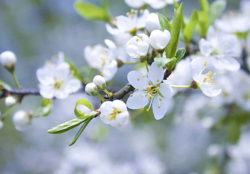 春耕始 萬(wàn)物生